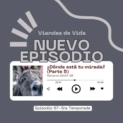 ¿Dónde está tu mirada? (parte 5)-EP67-Números