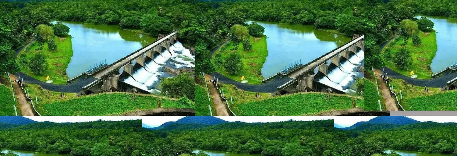 Kulathupuzha