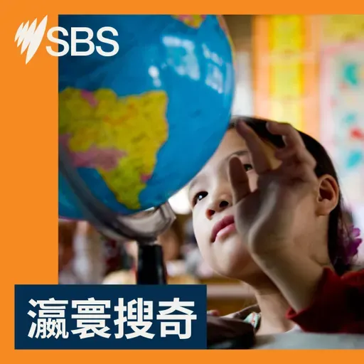 【創意成真？】百變社區活動 單車可以飛天？