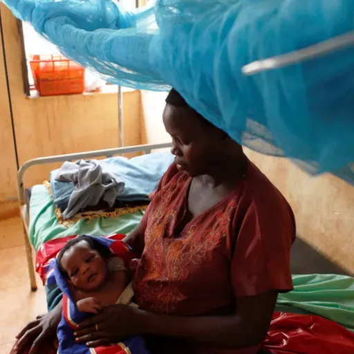 3301: WHO: Closing the Gap in South Sudan's Maternal Healthcare