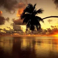 LA SOMBRA DEL OCASO