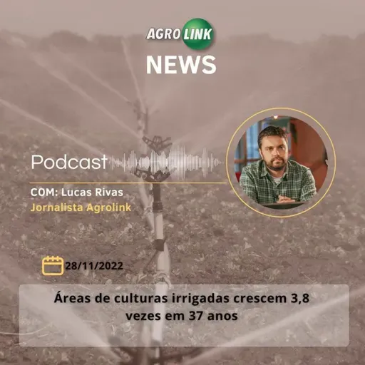 Conab aponta recorde nas exportações de carne de frango