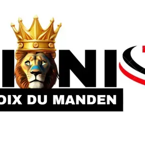 Niani TV-FM