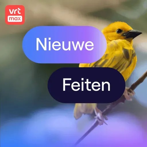 Nieuw onderzoek: ook vogels masturberen graag