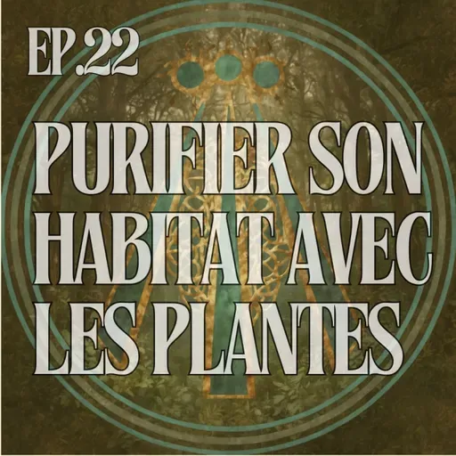 Purifier son habitat avec les plantes locales