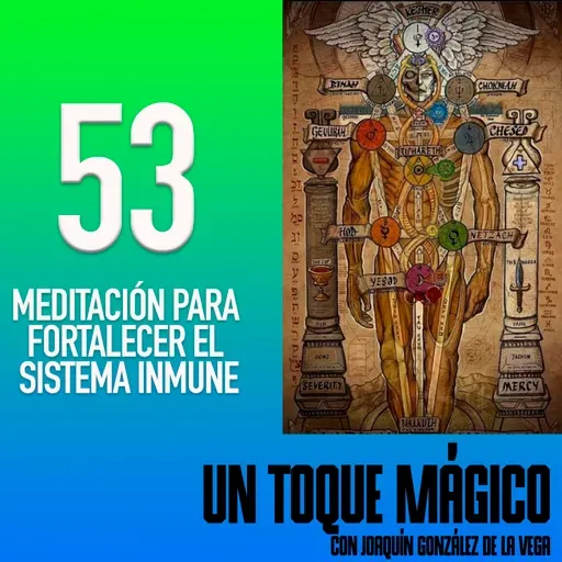 53 Meditación para fortalecer el sistema inmune.