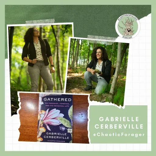 123. Gathered: On Foraging, Feasting, and the Seasonal Life w/ Gabrielle Cerberville
