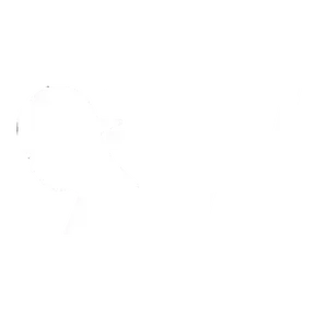 Black Web Online