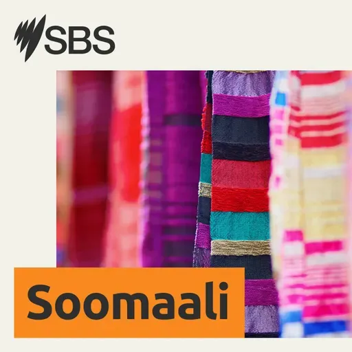 Waraysi - Ugaas Ahmed-Naasir iyo Dawlad Deegaanka Soomaalidda