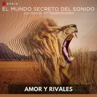 El Mundo Secreto del Sonido - Amor y Rivales