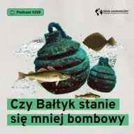Czy Bałtyk stanie się mniej bombowy (Dział Zagraniczny Podcast#259)