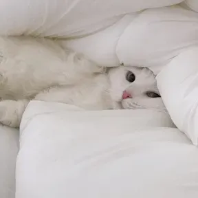 Nyanko FM