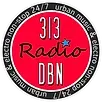 313 DBN Radio