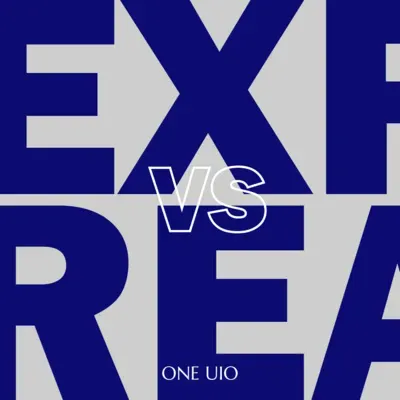 Expectativas vs Realidad