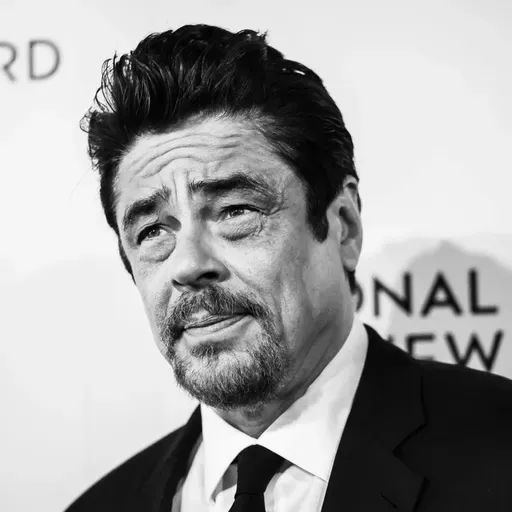Benicio del Toro
