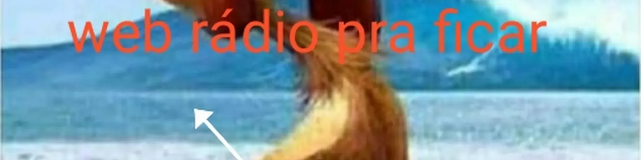 radio web pra fica