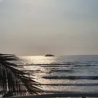 21 DE MAYO, DÍA MUNDIAL DEL TÉ. DÍA MUNDIAL DE LA DIVERSIDAD CULTURAL PARA EL DIÁLOGO Y EL DESARROLL