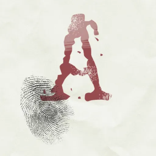 Introducing Accused