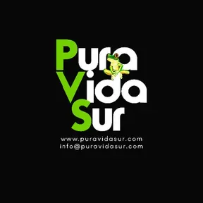 Pura Vida Sur Radio