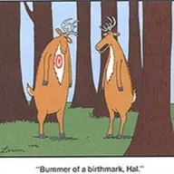 Oh Deer, It's Travis Storms