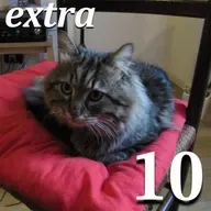 Pr…Estate attenzione (Extra del Mercoledì #10)