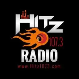 Hitz 107.3 The Beat