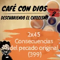 2x45 Consecuencias del pecado original (399)