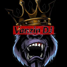 VANZIN DJ