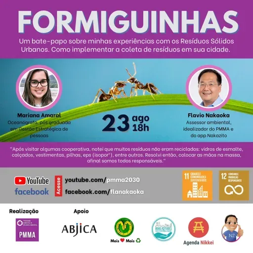 Coleta seletiva é trabalho para formiguinhas