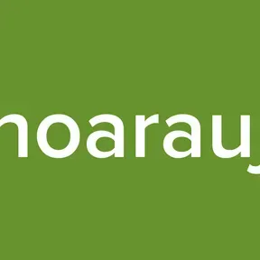 Betinhoaraujobbg
