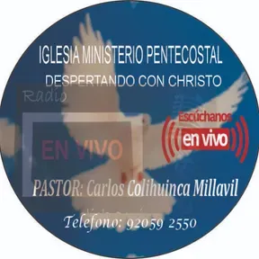 despertando con Cisto