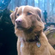 Hawt🔥Takez - Good Boy Review