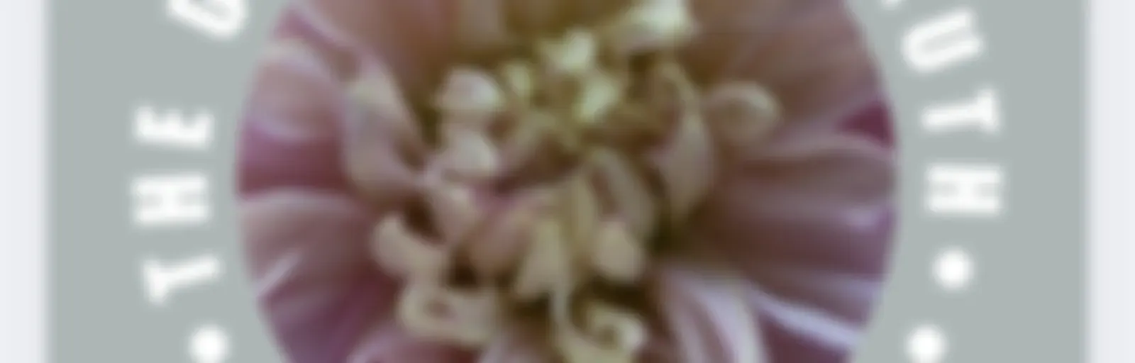 The Undisputed Truth.