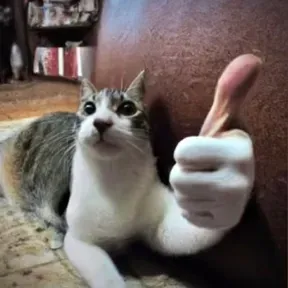 Anonimato