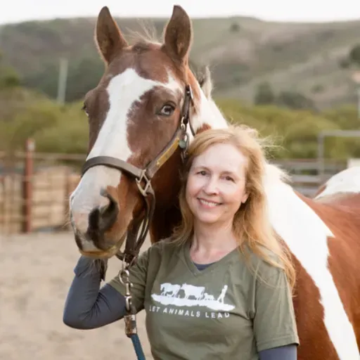April 2026 - Animal Reiki Talk