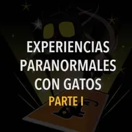 Historias Paranormales Con Gatos (Relatos De Horror)
