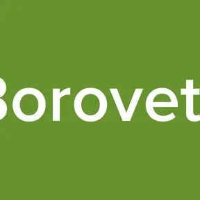 Borovets