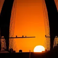 苏童：寻找灯绳