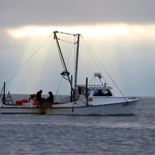 Will a historic sewage spill undo the Chesapeake Bay's restoration?