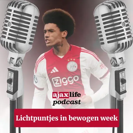 #223 - Lichtpuntjes in bewogen week