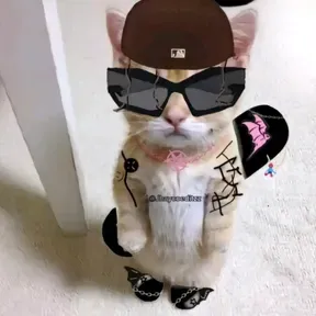 JHAYCOLOVER