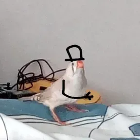 Bilirrubinos
