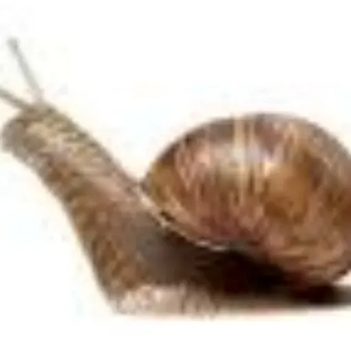 _audiof8b4fe4b91cebef311c269043bb36f25_1637095508577.mp3