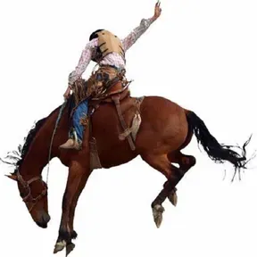 cowboymta