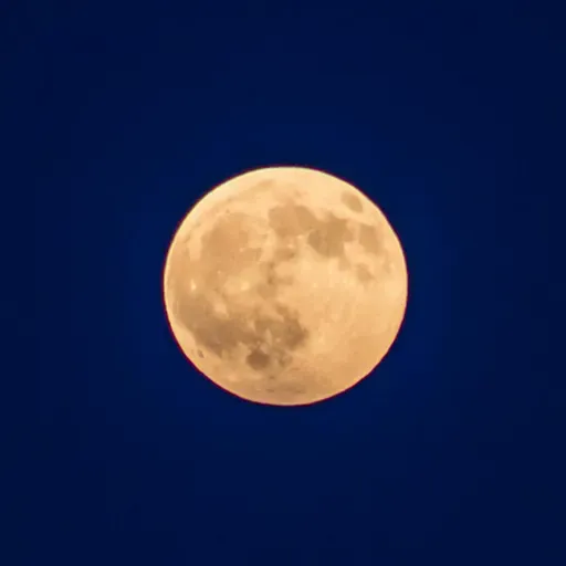 Luna - AI nei TV - Mems