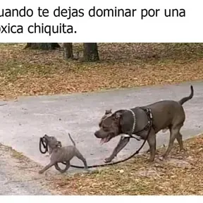 URL DESOLADO