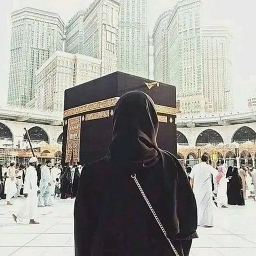 سورة يس