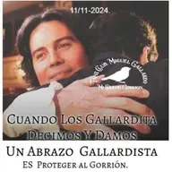 Homenaje al cantante español Miguel Gallardo y nota al cantante Alex Gallardo, desde España hablando de su padre y de Hoy tengo ganas de ti renovada.Nota a Alex Gallardo