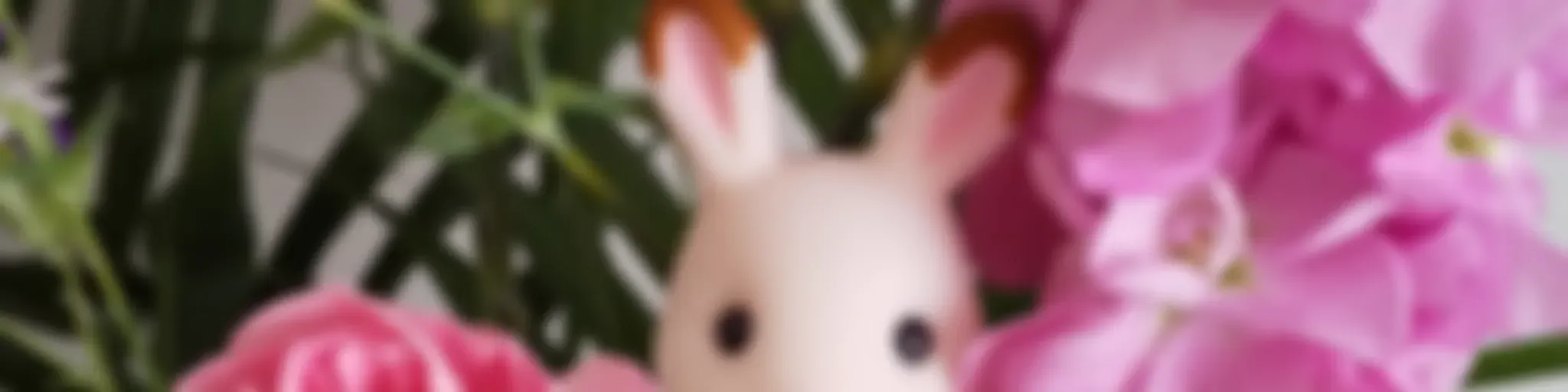 *yukari's simple life*+English