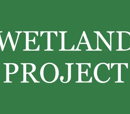 WETLAND PROJECT : Brady Marks et Mark Timmings